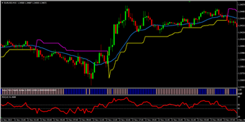 Focus Point Wealth Builder